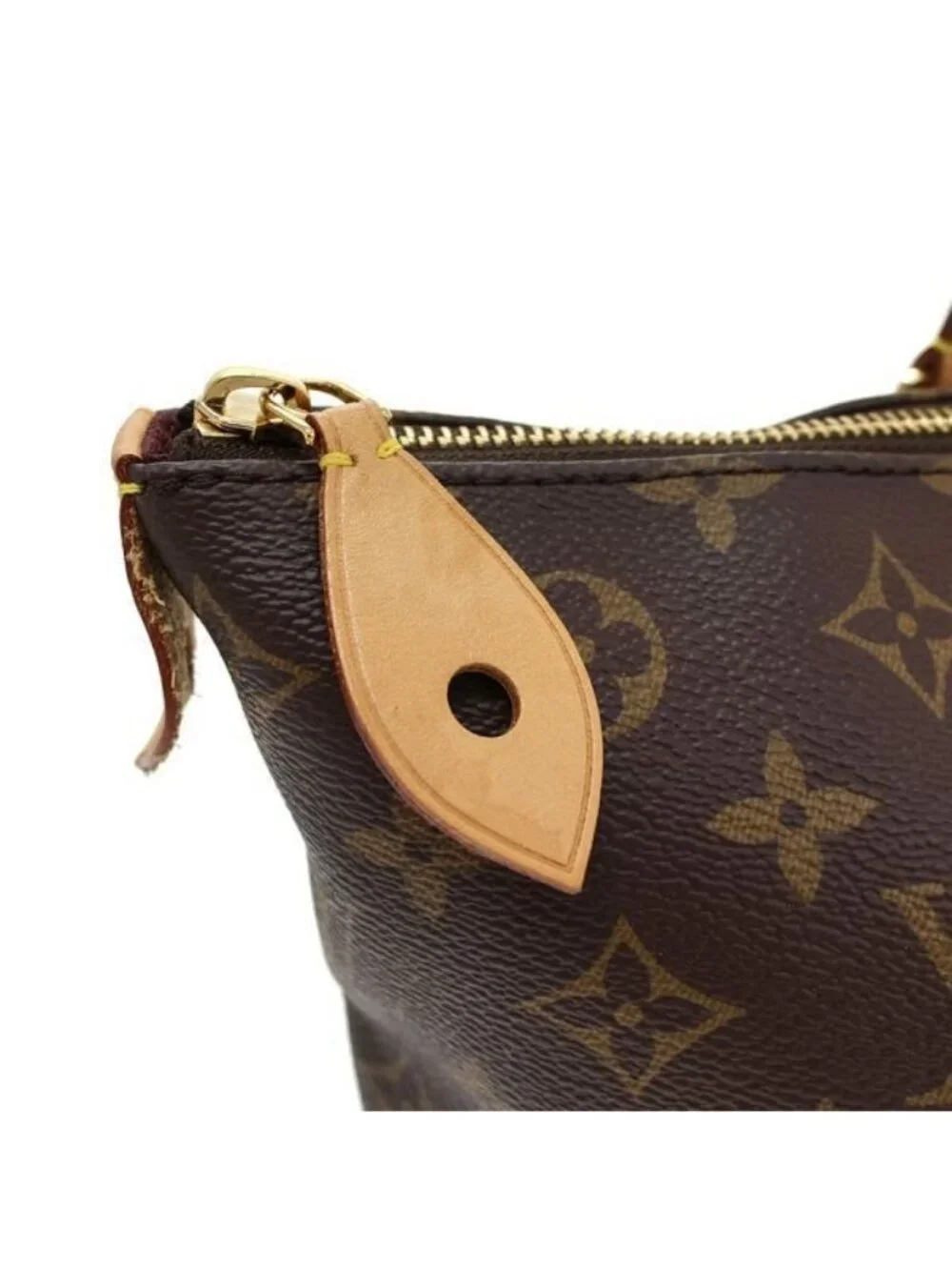 Louis Vuitton Monogram Iena MM Handbag